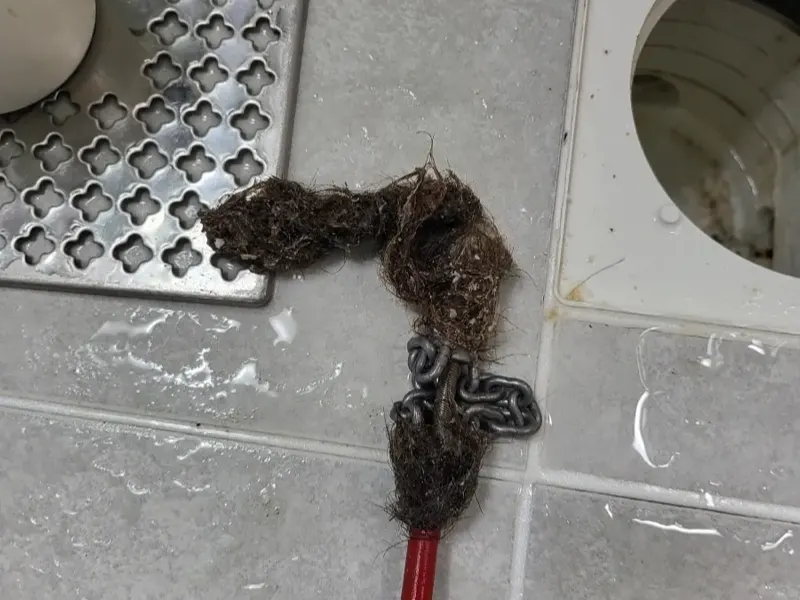 청주 바닥 배수구에서 끌어낸 머리카락 뭉치